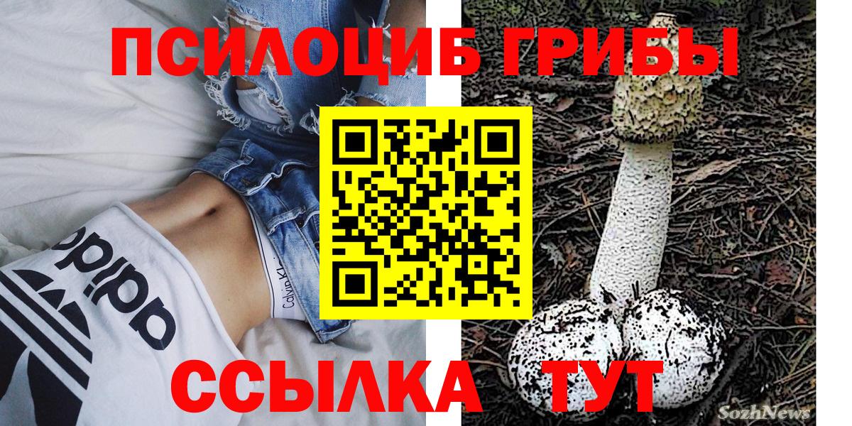 Оренбург  Псилоцибиновые грибы Magic Shrooms  Вход с VPN  Псилоцибиновые грибы Cubensis 